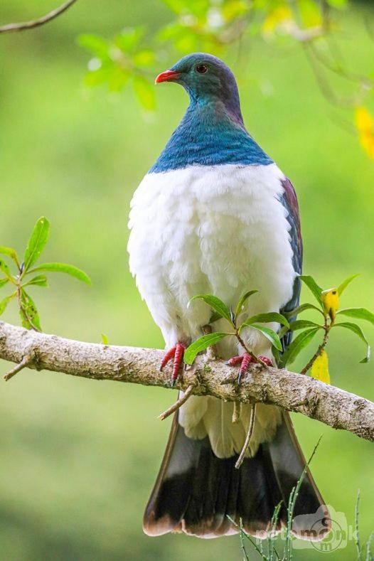Mike & Jenny'S Kaka Point Accommodation Экстерьер фото